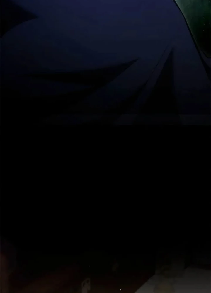 Thiếu Gia Chủ Của Gia Tộc Tử Linh Sư Chapter 57 - 165