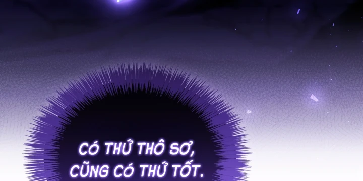 Thiếu Gia Chủ Của Gia Tộc Tử Linh Sư Chapter 61 - 244