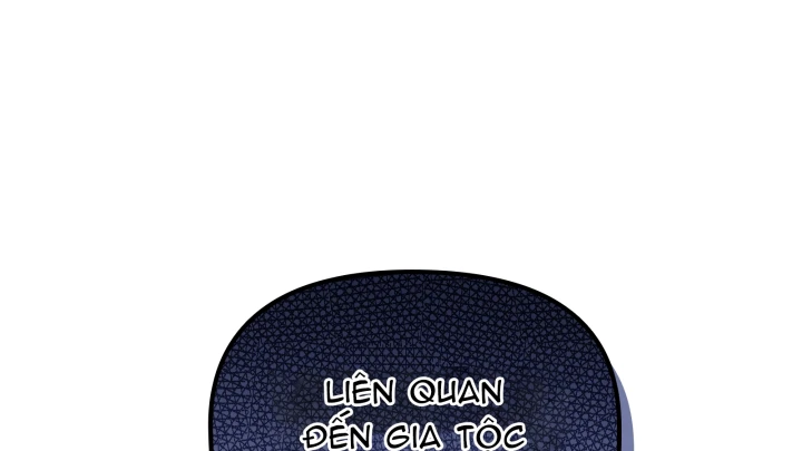 Thiếu Gia Chủ Của Gia Tộc Tử Linh Sư Chapter 62 - 212