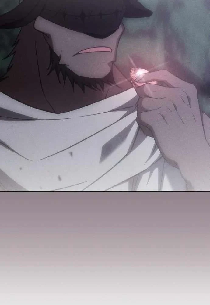 Trị Liệu Sư Quá Mạnh Chapter 71 - 12