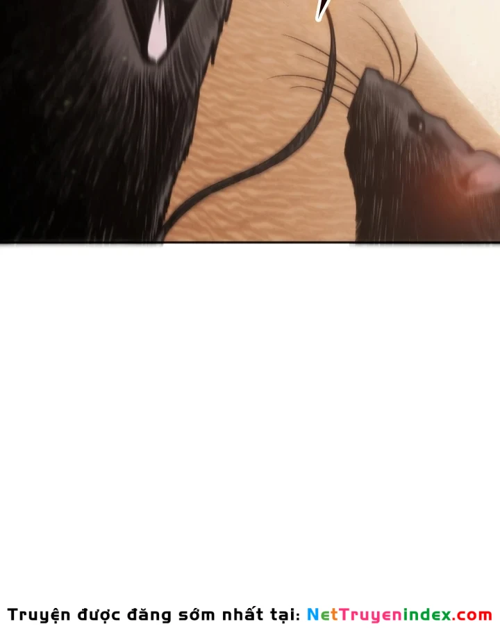 Trị Liệu Sư Quá Mạnh Chapter 75 - 145