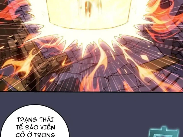 Ta dựa vào hậu cung chinh phục thế giới Chapter 99 - 21