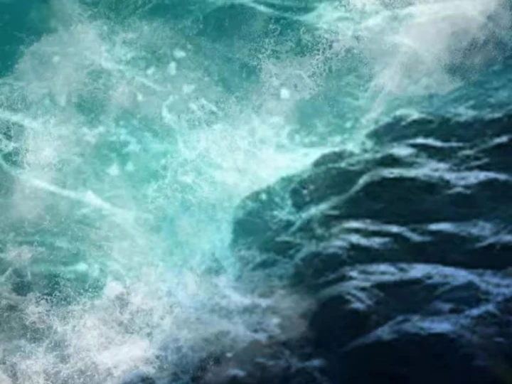 Ta dựa vào hậu cung chinh phục thế giới Chapter 111 - 44