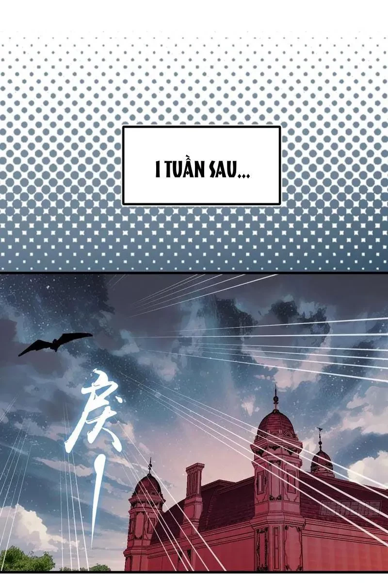 Ta dựa vào hậu cung chinh phục thế giới Chapter 49 - 43