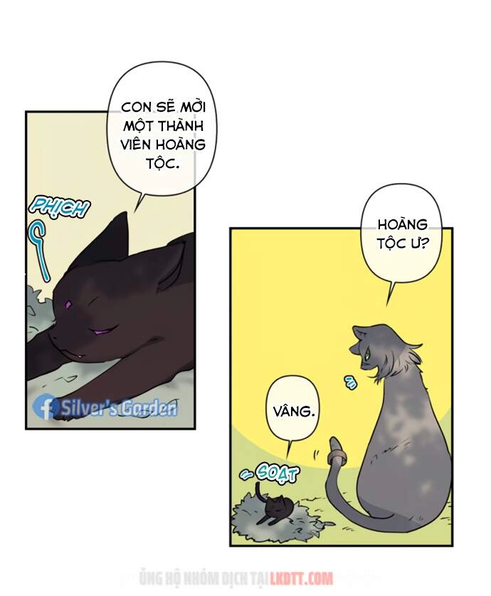 Thuần Hóa Quái Thú Thật Tốt Chapter 17 - 6