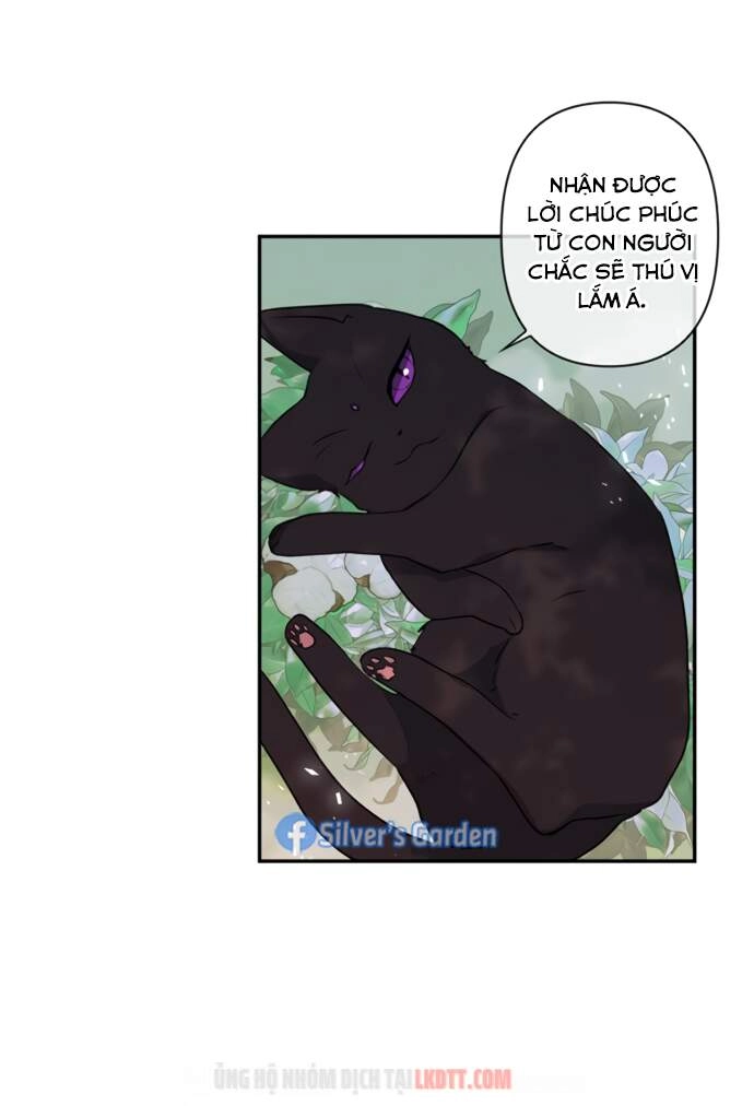 Thuần Hóa Quái Thú Thật Tốt Chapter 17 - 7