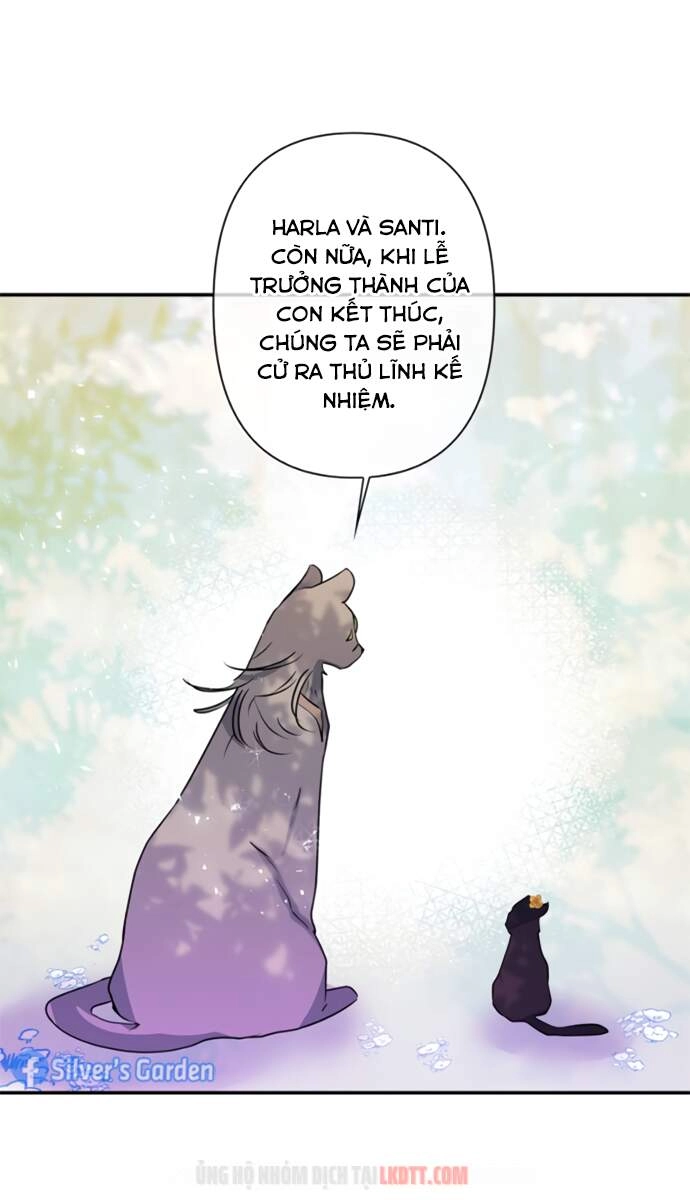 Thuần Hóa Quái Thú Thật Tốt Chapter 17 - 14