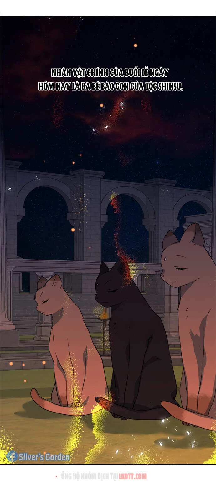 Thuần Hóa Quái Thú Thật Tốt Chapter 18 - 39