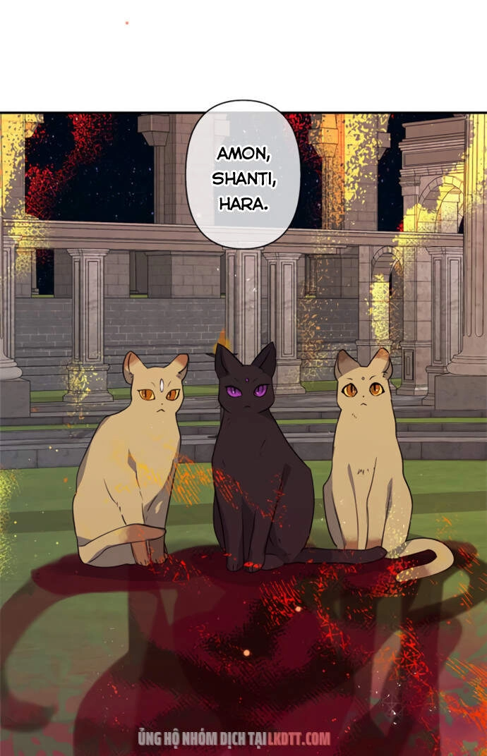 Thuần Hóa Quái Thú Thật Tốt Chapter 18 - 49