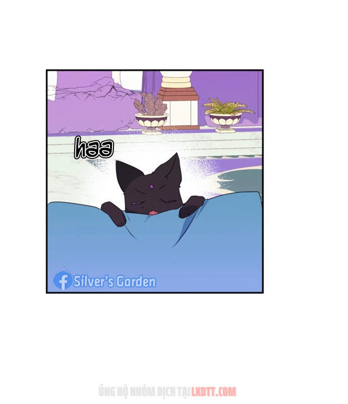 Thuần Hóa Quái Thú Thật Tốt Chapter 19 - 49