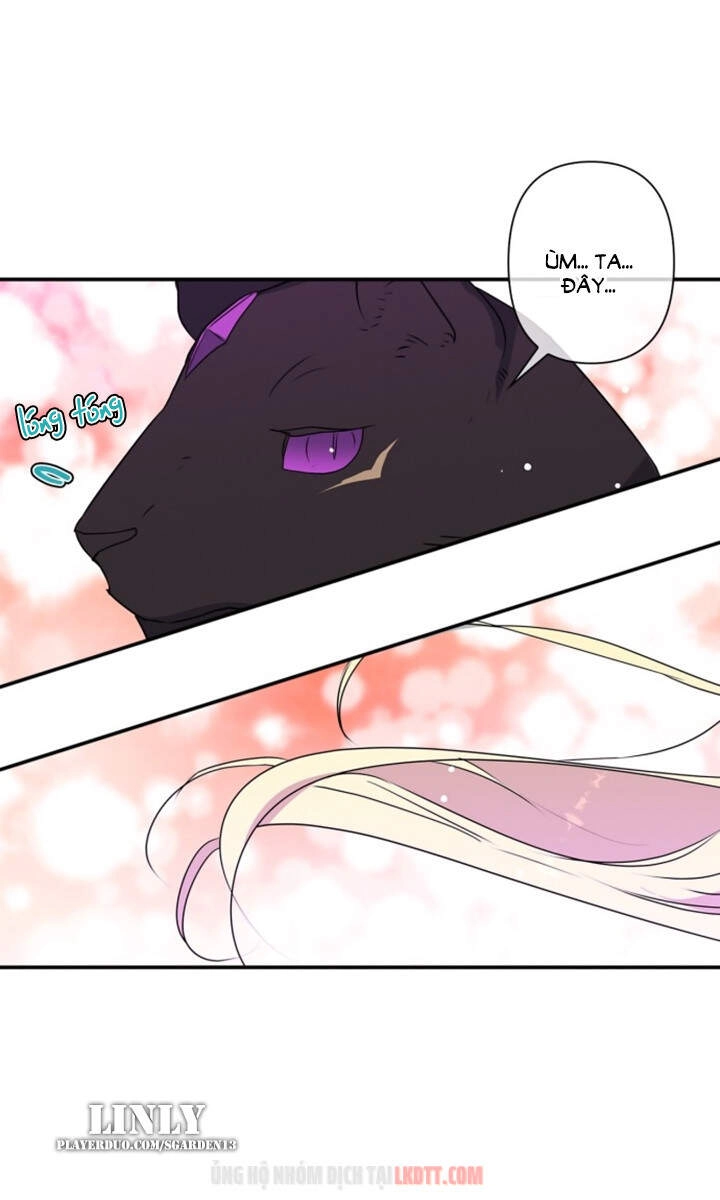 Thuần Hóa Quái Thú Thật Tốt Chapter 28 - 60