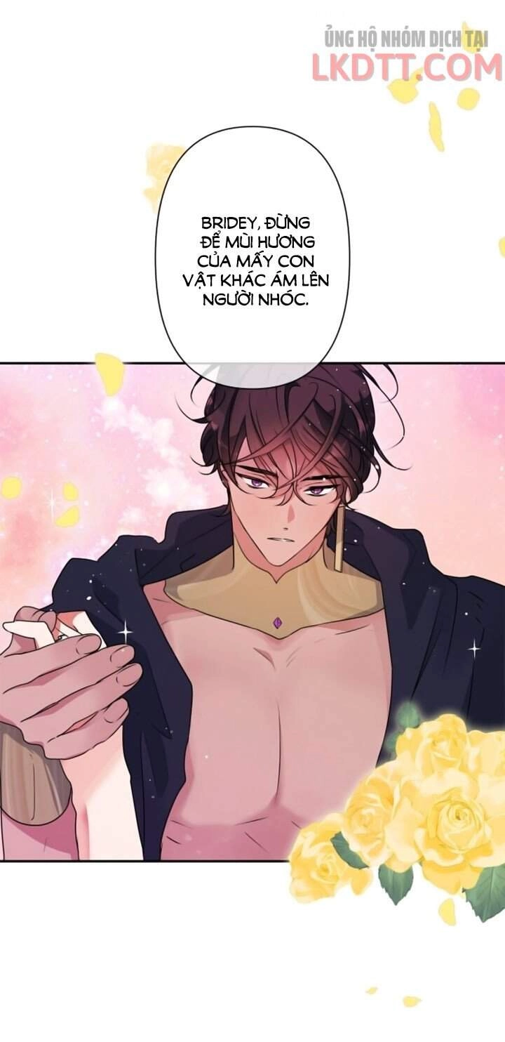 Thuần Hóa Quái Thú Thật Tốt Chapter 34 - 47