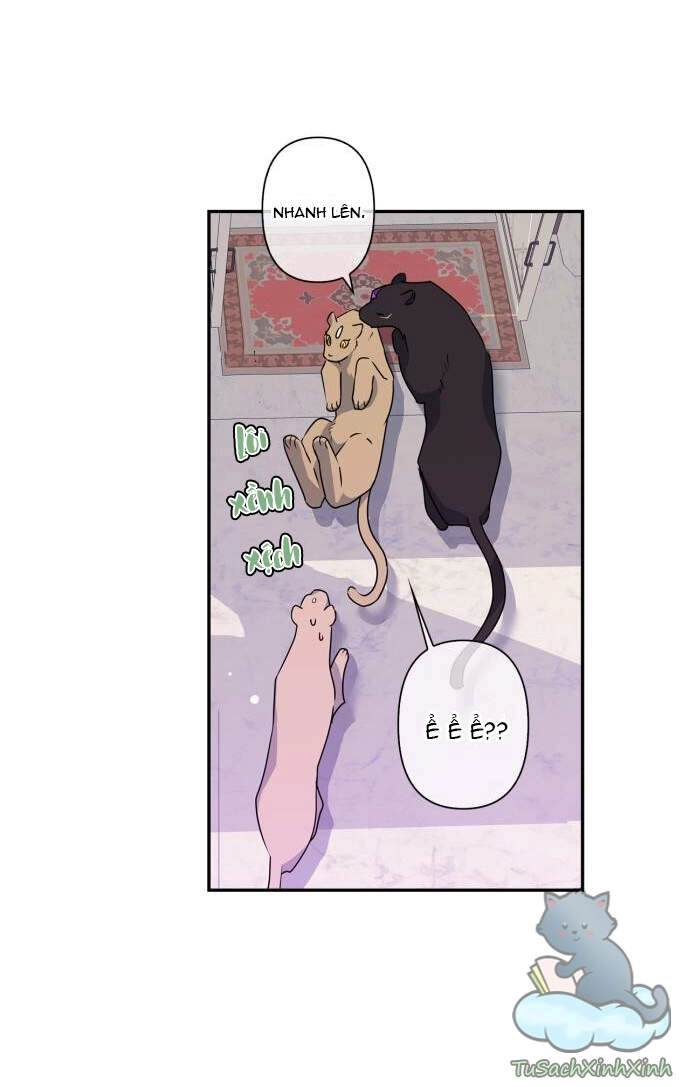 Thuần Hóa Quái Thú Thật Tốt Chapter 37 - 18