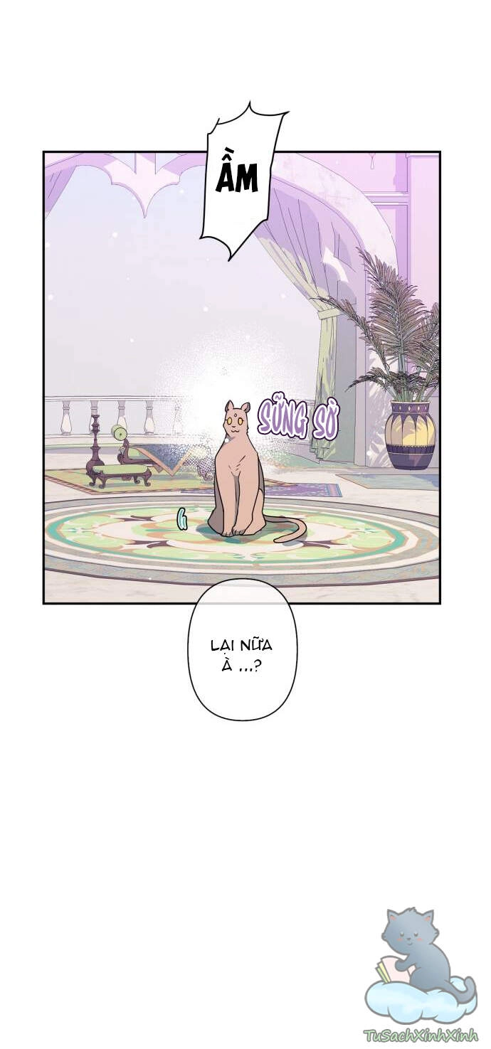 Thuần Hóa Quái Thú Thật Tốt Chapter 37 - 20