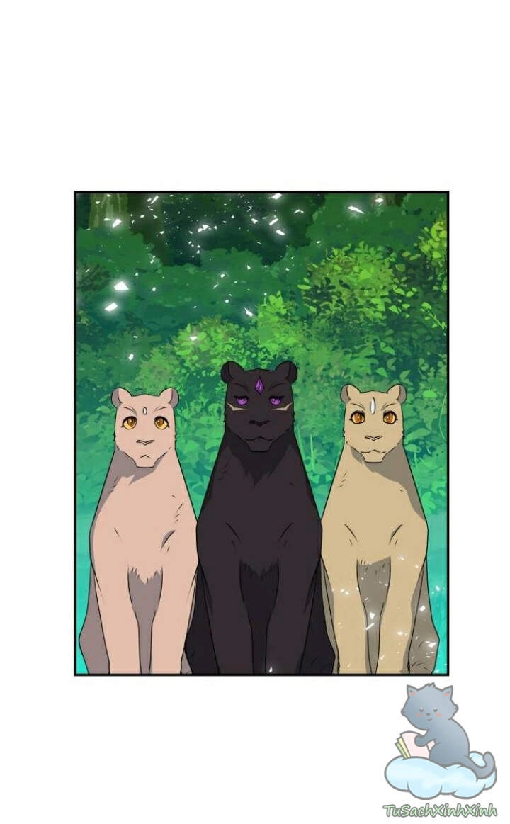 Thuần Hóa Quái Thú Thật Tốt Chapter 40 - 34