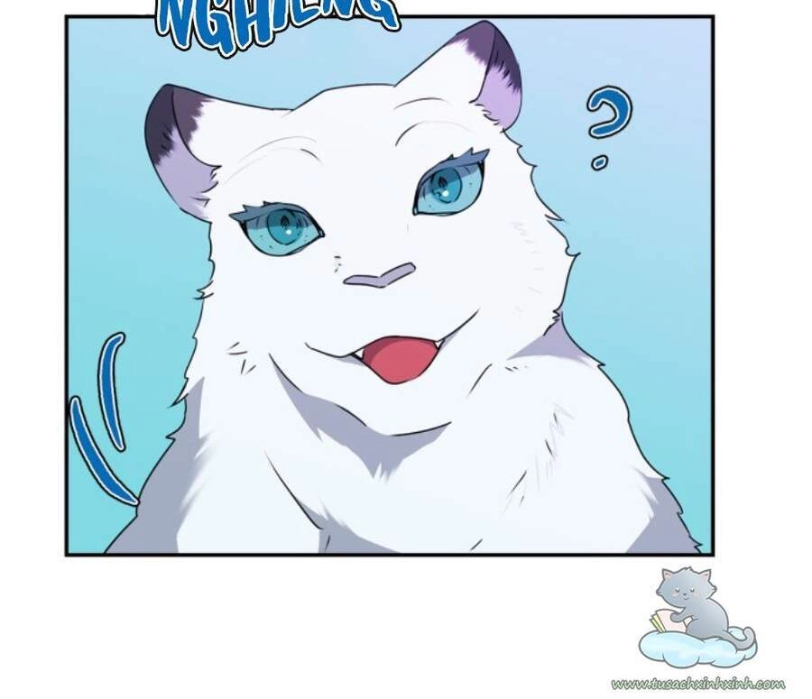 Thuần Hóa Quái Thú Thật Tốt Chapter 50 - 17