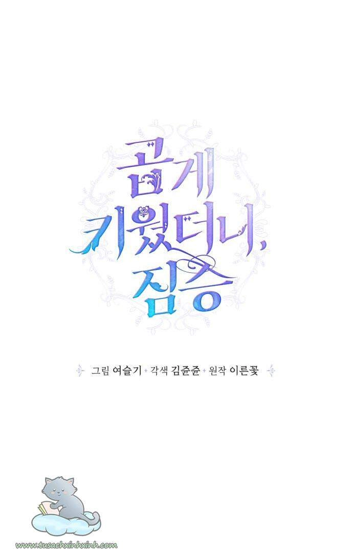 Thuần Hóa Quái Thú Thật Tốt Chapter 54 - 15