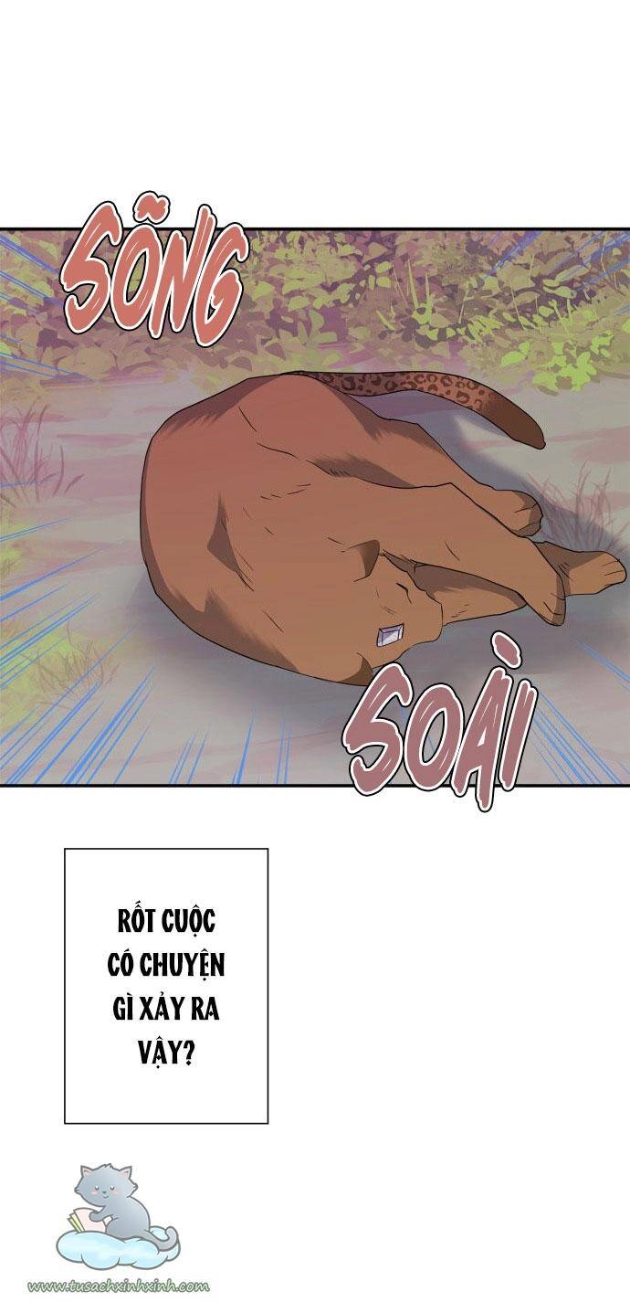 Thuần Hóa Quái Thú Thật Tốt Chapter 60 - 33