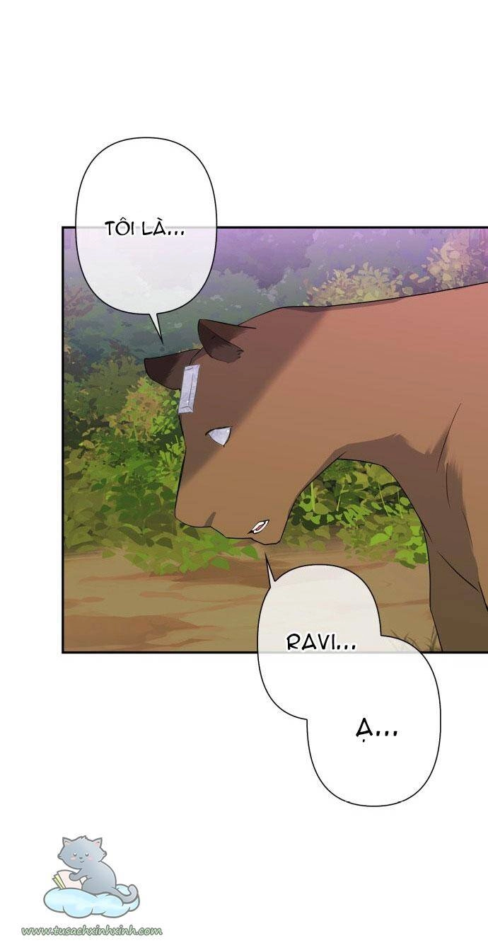 Thuần Hóa Quái Thú Thật Tốt Chapter 60 - 52