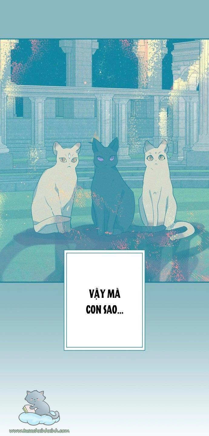 Thuần Hóa Quái Thú Thật Tốt Chapter 64 - 36