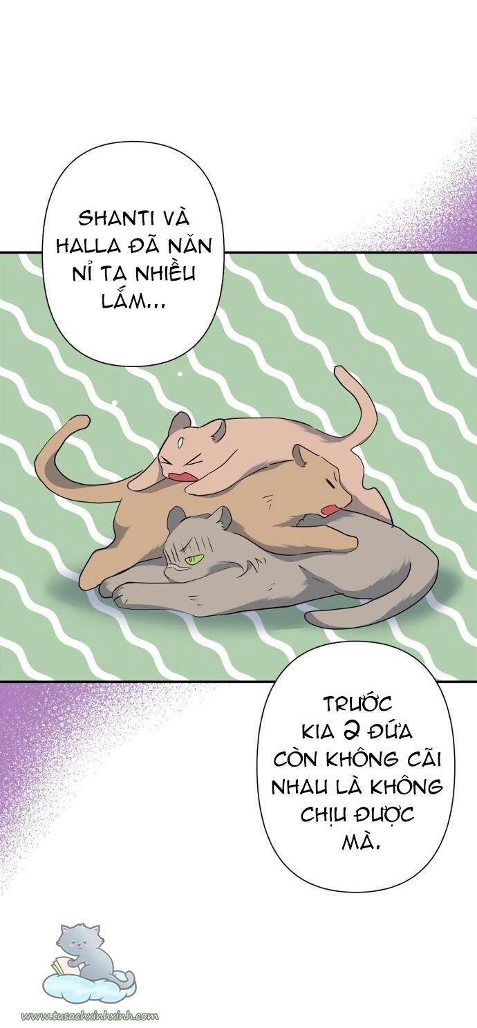 Thuần Hóa Quái Thú Thật Tốt Chapter 68 - 50