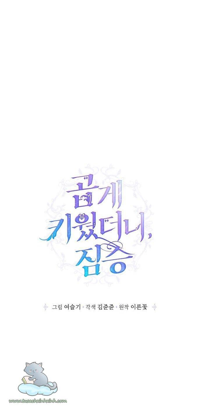 Thuần Hóa Quái Thú Thật Tốt Chapter 69 - 17