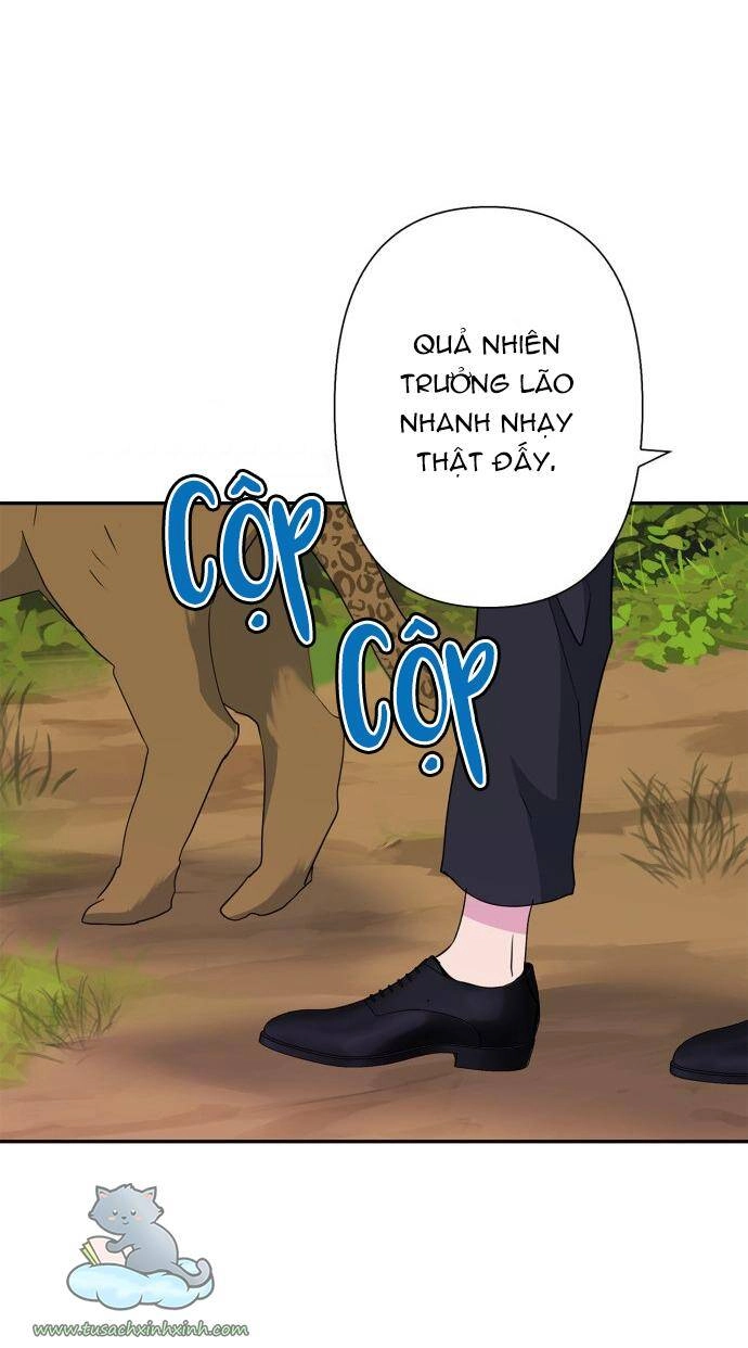 Thuần Hóa Quái Thú Thật Tốt Chapter 70 - 33