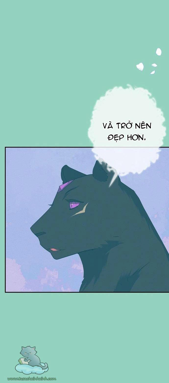 Thuần Hóa Quái Thú Thật Tốt Chapter 71 - 60