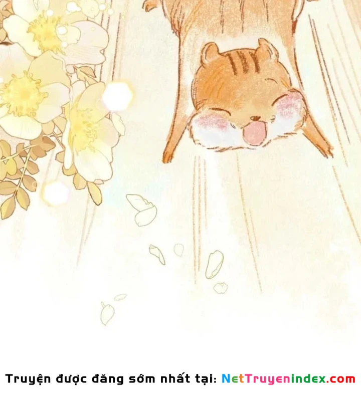 Hunter Của Lớp Gà Con Đang Báo Hiếu! Chapter 58 - 72