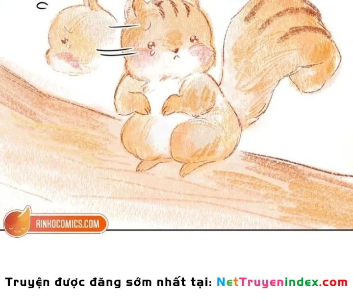 Hunter Của Lớp Gà Con Đang Báo Hiếu! Chapter 58 - 74