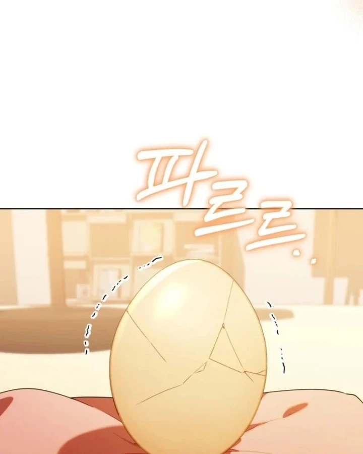 Hunter Của Lớp Gà Con Đang Báo Hiếu! Chapter 61 - 80