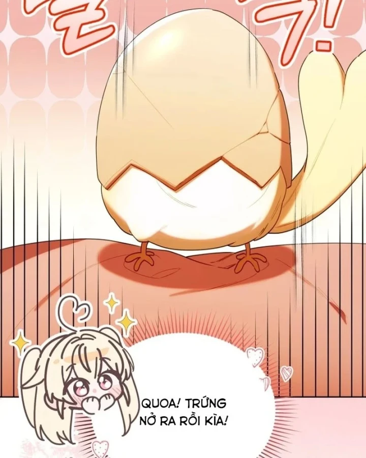 Hunter Của Lớp Gà Con Đang Báo Hiếu! Chapter 61 - 84