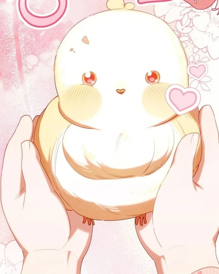 Hunter Của Lớp Gà Con Đang Báo Hiếu! Chapter 61 - 92