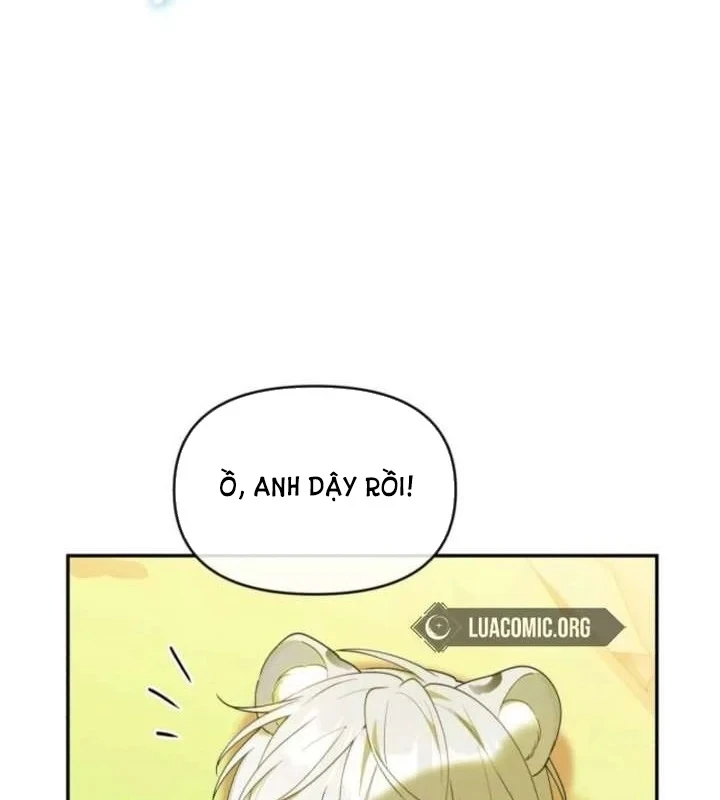 Hunter Của Lớp Gà Con Đang Báo Hiếu! Chapter 64 - 128