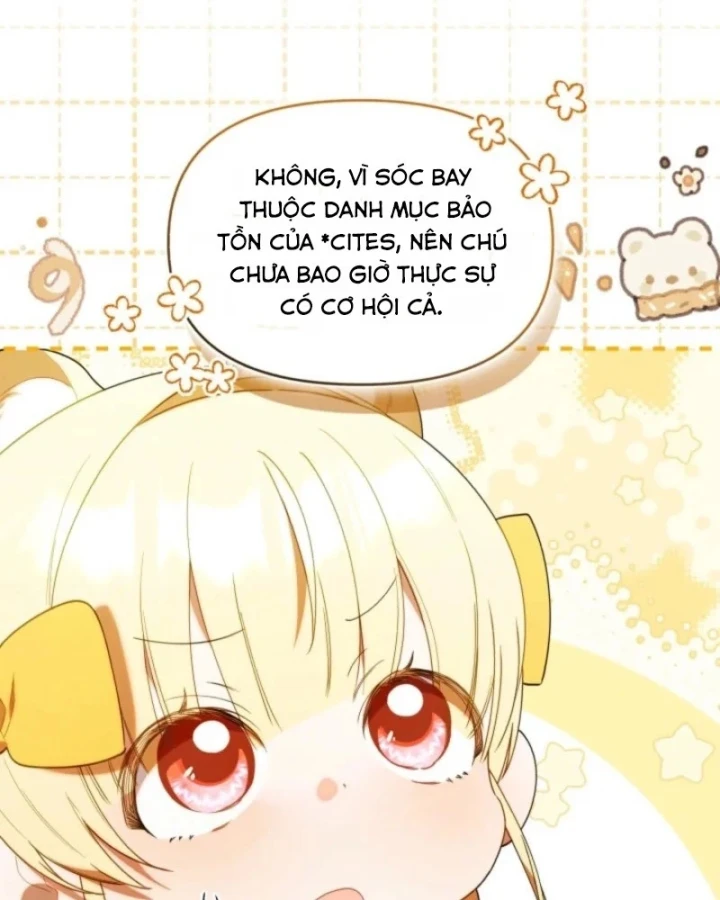 Hunter Của Lớp Gà Con Đang Báo Hiếu! Chapter 65 - 69