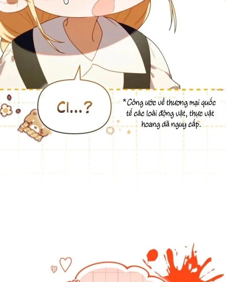 Hunter Của Lớp Gà Con Đang Báo Hiếu! Chapter 65 - 70