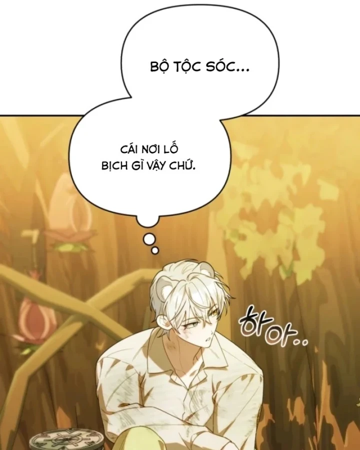 Hunter Của Lớp Gà Con Đang Báo Hiếu! Chapter 65 - 81