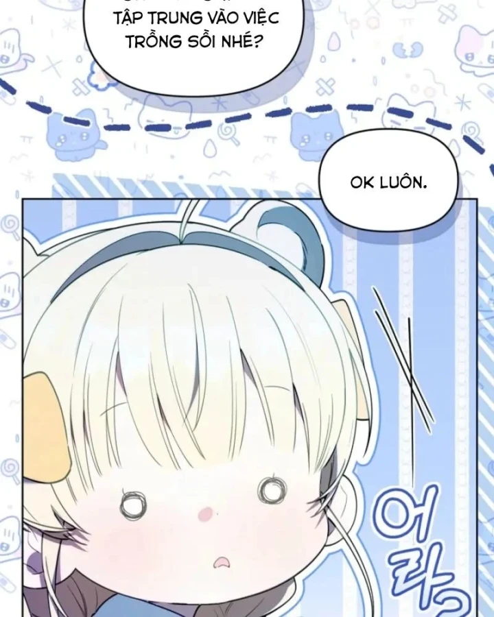 Hunter Của Lớp Gà Con Đang Báo Hiếu! Chapter 66 - 74