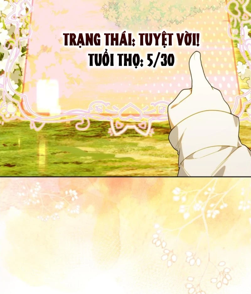 Hunter Của Lớp Gà Con Đang Báo Hiếu! Chapter 69 - 61