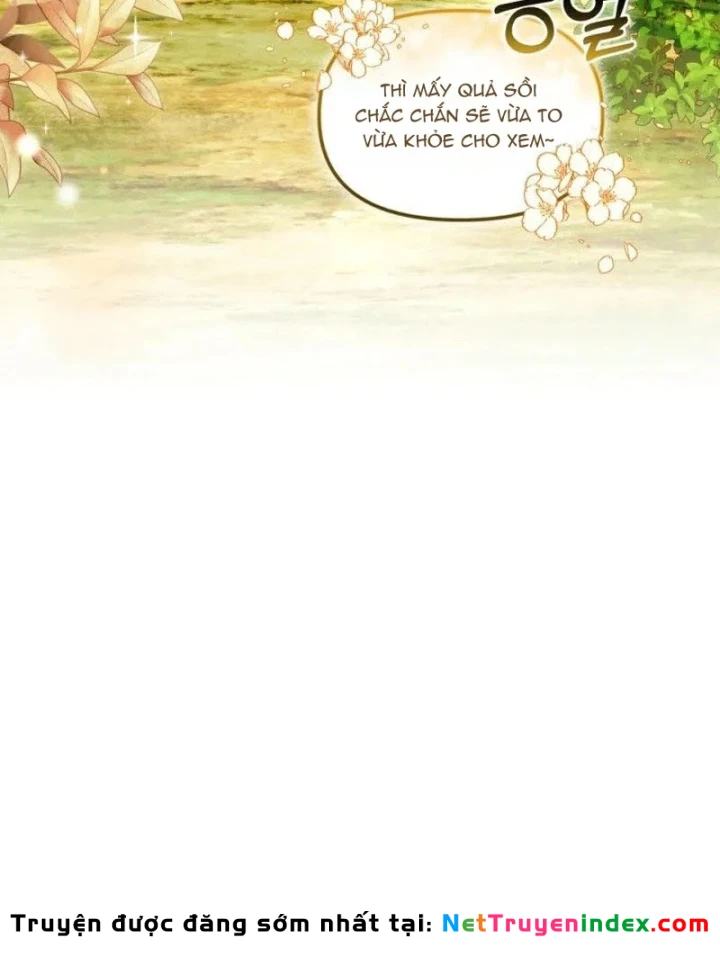 Hunter Của Lớp Gà Con Đang Báo Hiếu! Chapter 71 - 36