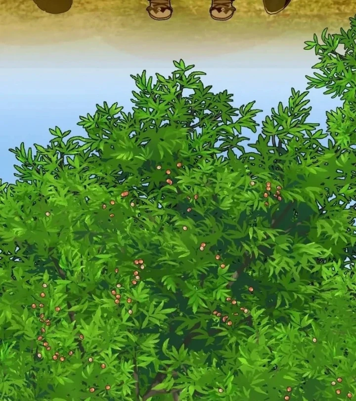 Hunter Của Lớp Gà Con Đang Báo Hiếu! Chapter 72 - 86