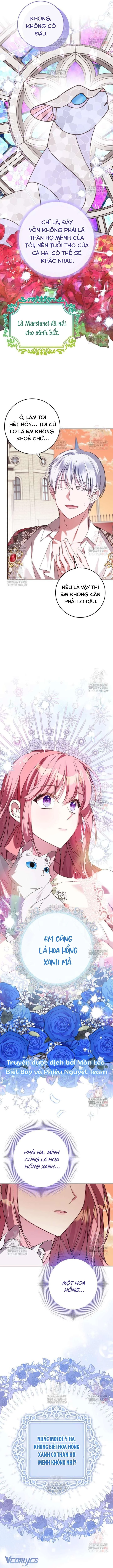 Tôi Gặp Nam Chính Trong Tù Chapter 70 - 6