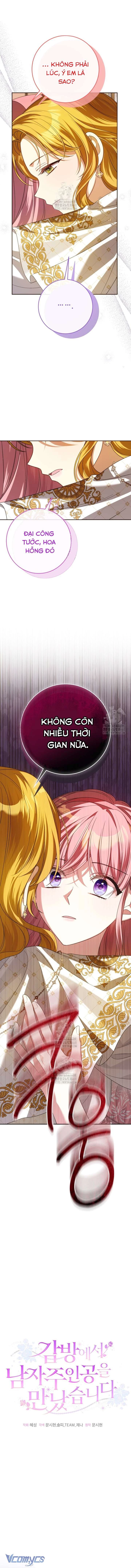 Tôi Gặp Nam Chính Trong Tù Chapter 71 - 12