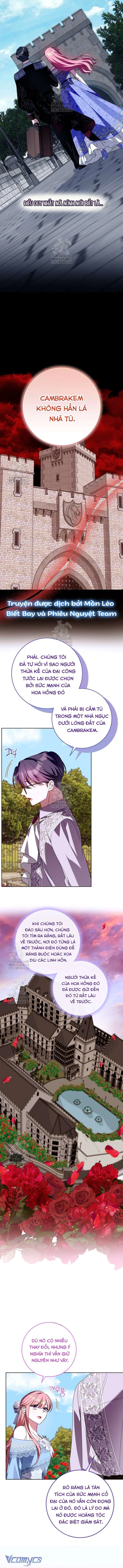 Tôi Gặp Nam Chính Trong Tù Chapter 75 - 3