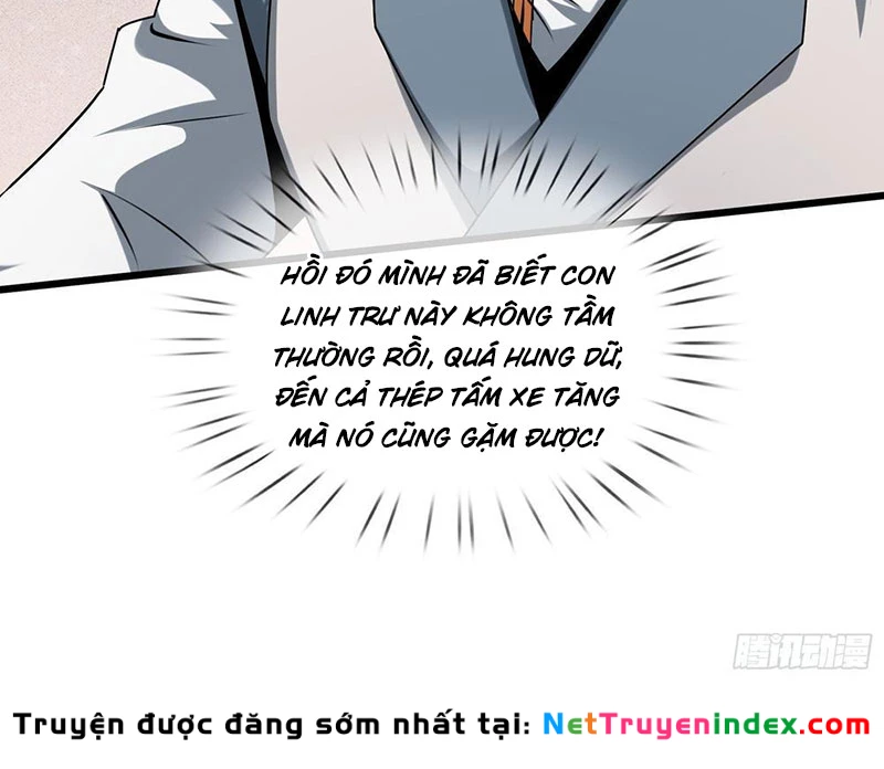 Ta có thể rút ra vô hạn vật phẩm Chapter 29 - 30