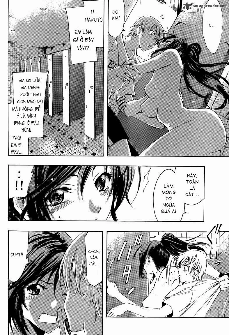 Kimi No Iru Machi Chapter 227 - 8