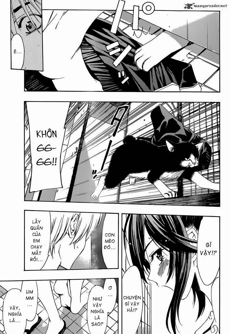 Kimi No Iru Machi Chapter 227 - 15