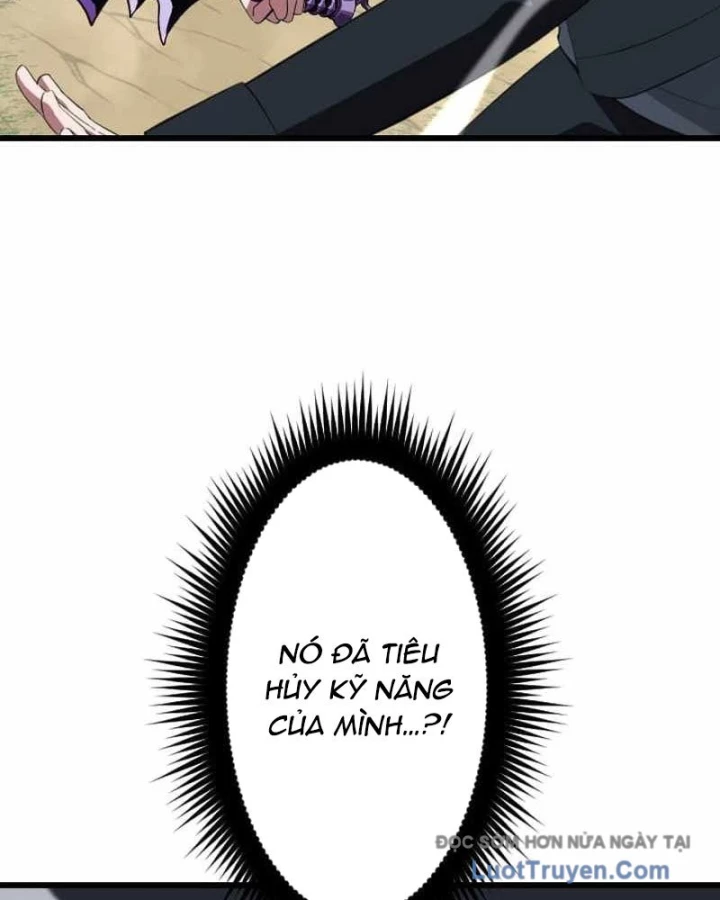 Vô Song Cùng Với Vũ Khí Ẩn Chapter 75 - 13