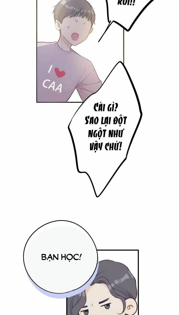 Đừng Để Tôi Bảo Vệ Chapter 15 - 17