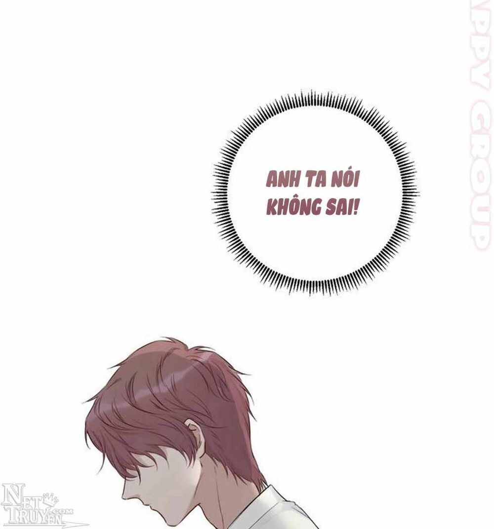 Đừng Để Tôi Bảo Vệ Chapter 20 - 50